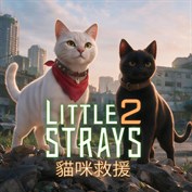沒有可用的標題