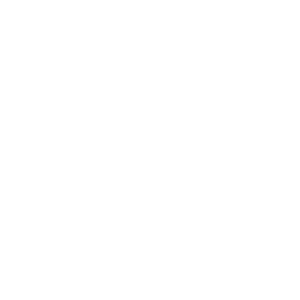 MSinformer