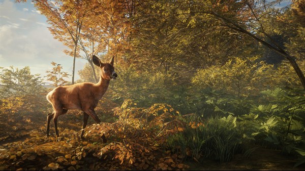theHunter: Call of the Wild screenshot