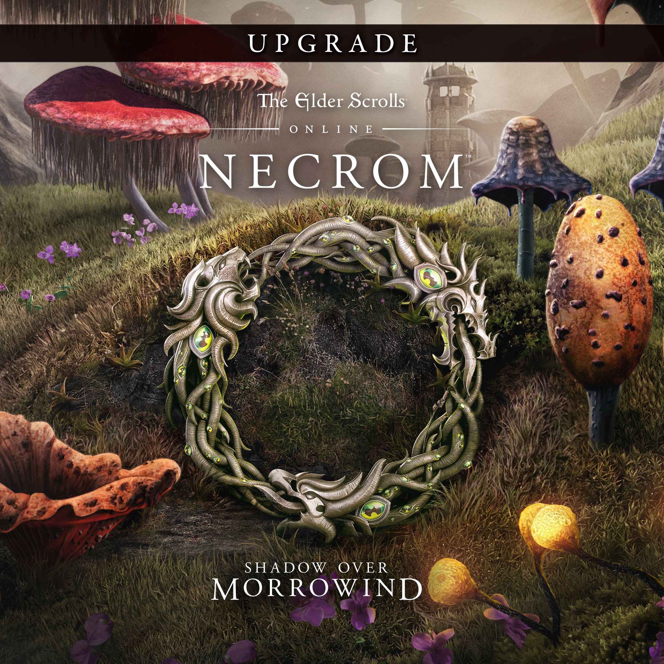 The Elder Scrolls Online: Necrom Upgrade (Add On)