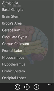 3D Brain screenshot 4