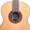Learn To Play Classical Guitar