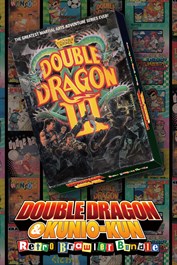 DOUBLE DRAGON Ⅲ: The Sacred Stones