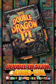 Cover poster for DOUBLE DRAGON Ⅲ: The Sacred Stones