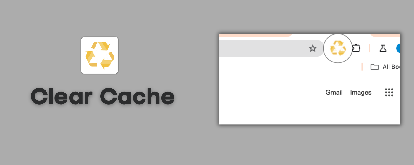 Clear Cache