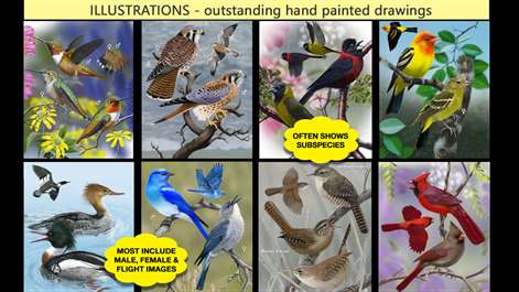 iBird Guide to Birds of North America Screenshots 1