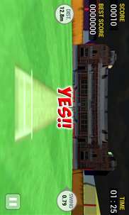 Cricket Run Out screenshot 4