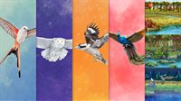 Wingspan + Europe + Océanie + Asia + Packs Décoratifs