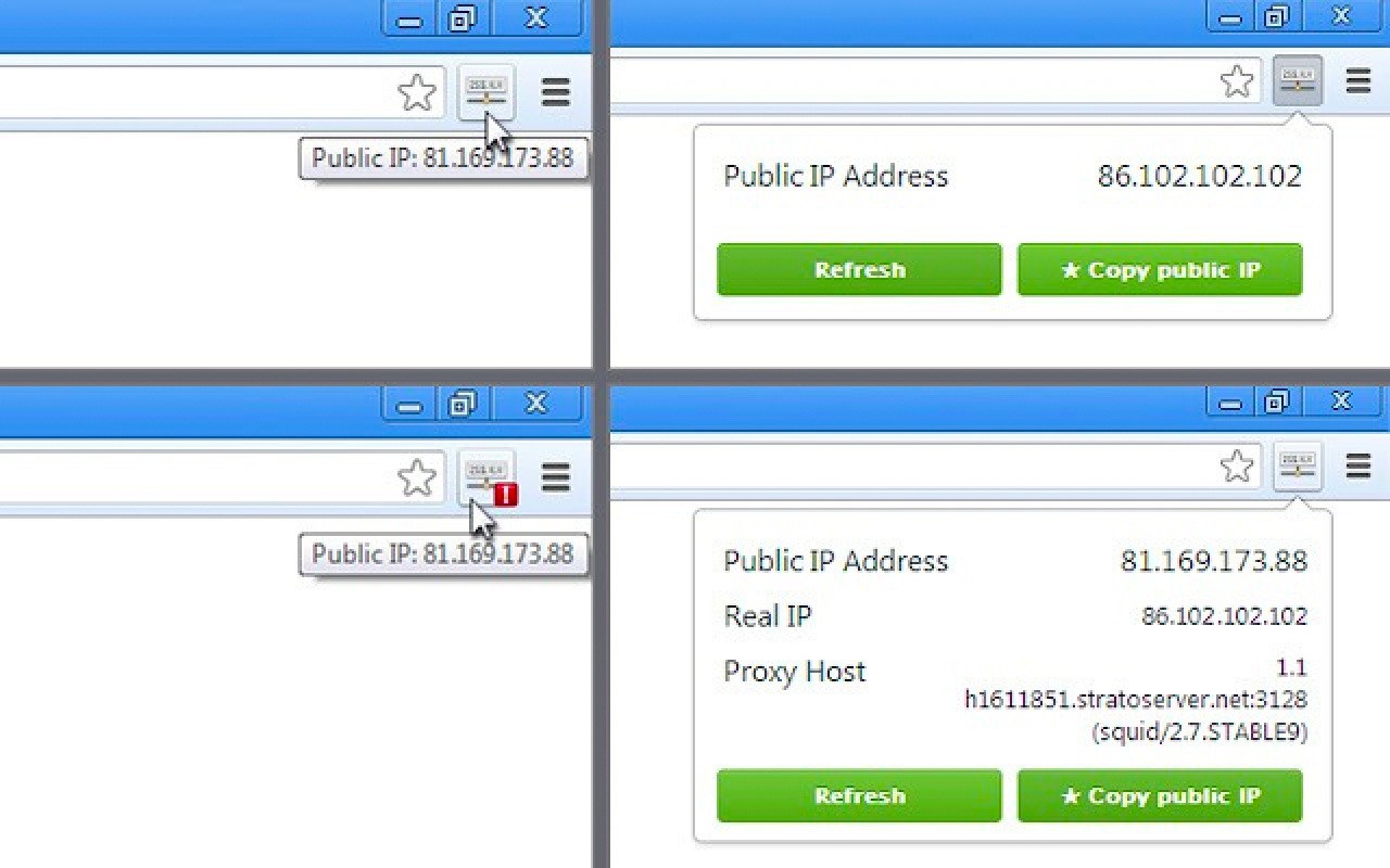 Show IP address