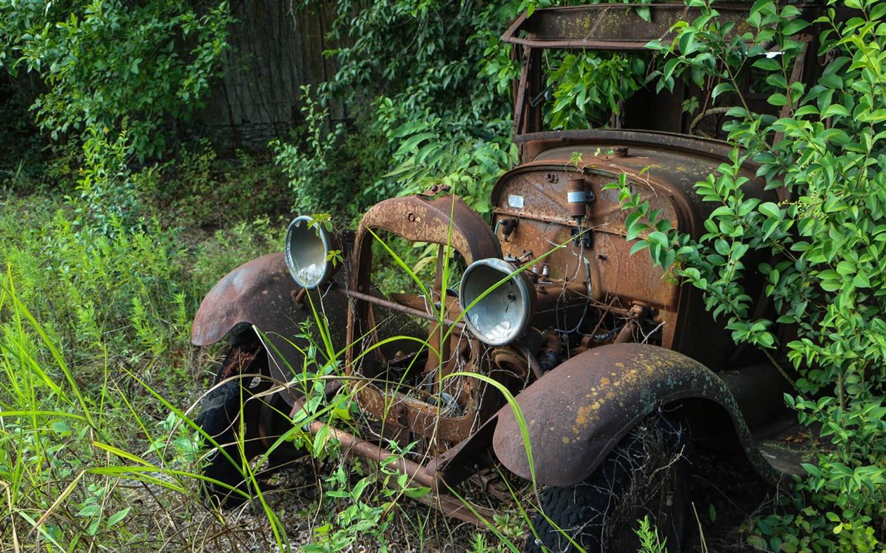 #3. Reclaimed by Nature (Windows) 由: Microsoft Corporation