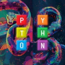 Python Module Manager