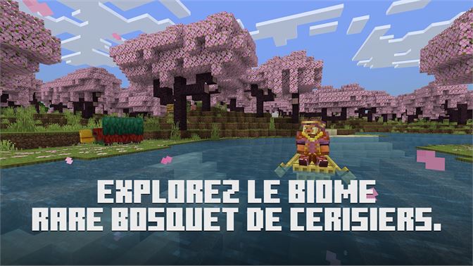 Minecraft Bedrock PlayStation 4 - Jeux Vidéo Playstation 4 en Tunis