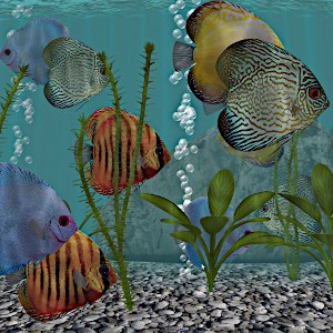 moving aquarium backgrounds