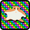 Hamster Disco Life Jump