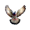 PigeonAi_V1