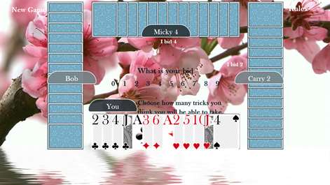 Spades Adventure Screenshots 2