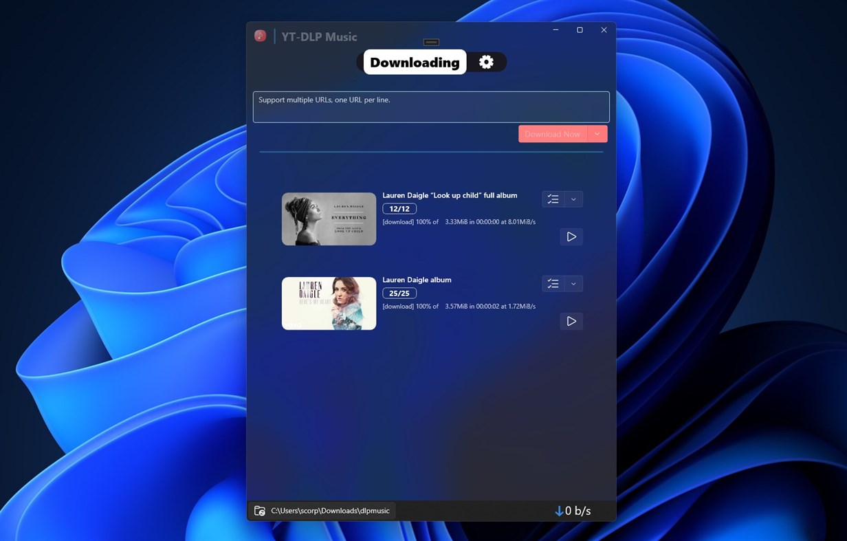 #1. UTube - Audio Music Downloader (Windows) Podle: parmata