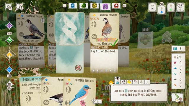 Birds and Cats screenshot 3