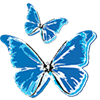 Fotosinthesi_8.1.Winpc