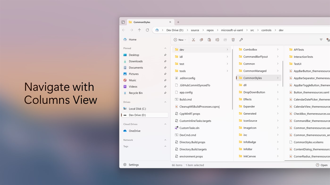#2. Files App (Windows) By: Files Community
