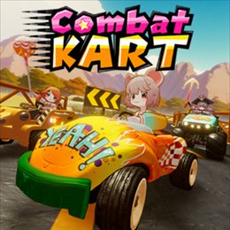 Aperçu Combat Kart
