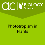 AC Biology: Phototropism in Plants