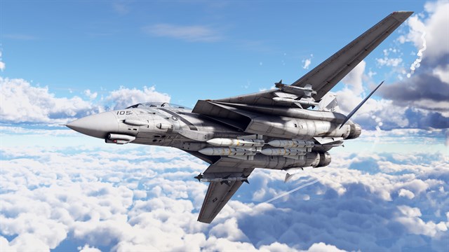 War Thunder - F-14D Bundle screenshot 3