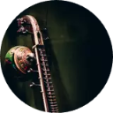 Sitar Wallpaper New Tab icon