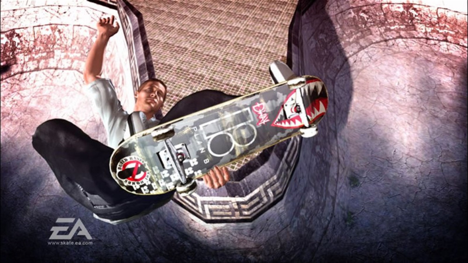 skate. (2007) — captura 1