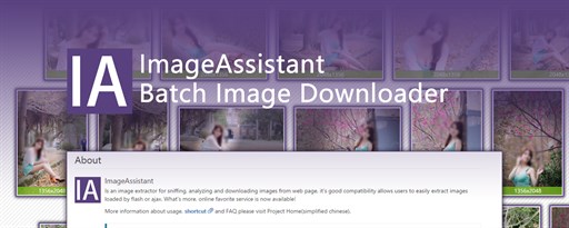 ImageAssistant Batch Image Downloader marquee promo image