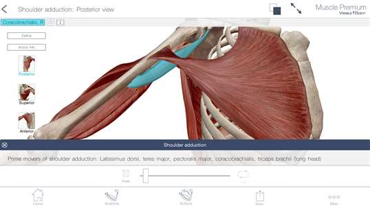 Muscle Premium: 3D Visual Guide for Bones, Joints & Muscles — Human Anatomy & Kinesiology screenshot 3