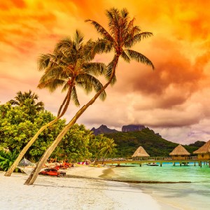 Tropical Islands Paradise HD Wallpaper Theme icon