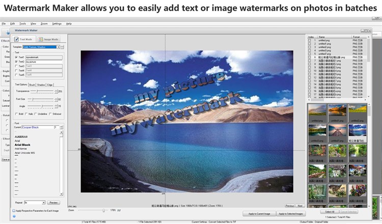 Watermark Photos - Lite Version of Graphics Converter Pro - PC - (Windows)