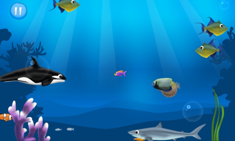 Get Feed Hungry Fish - Microsoft Store