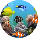 Aquarium Wallpaper New Tab icon