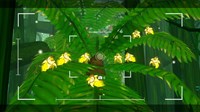 screenshot5