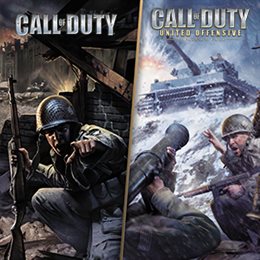 Aperçu Call of Duty® (2003)