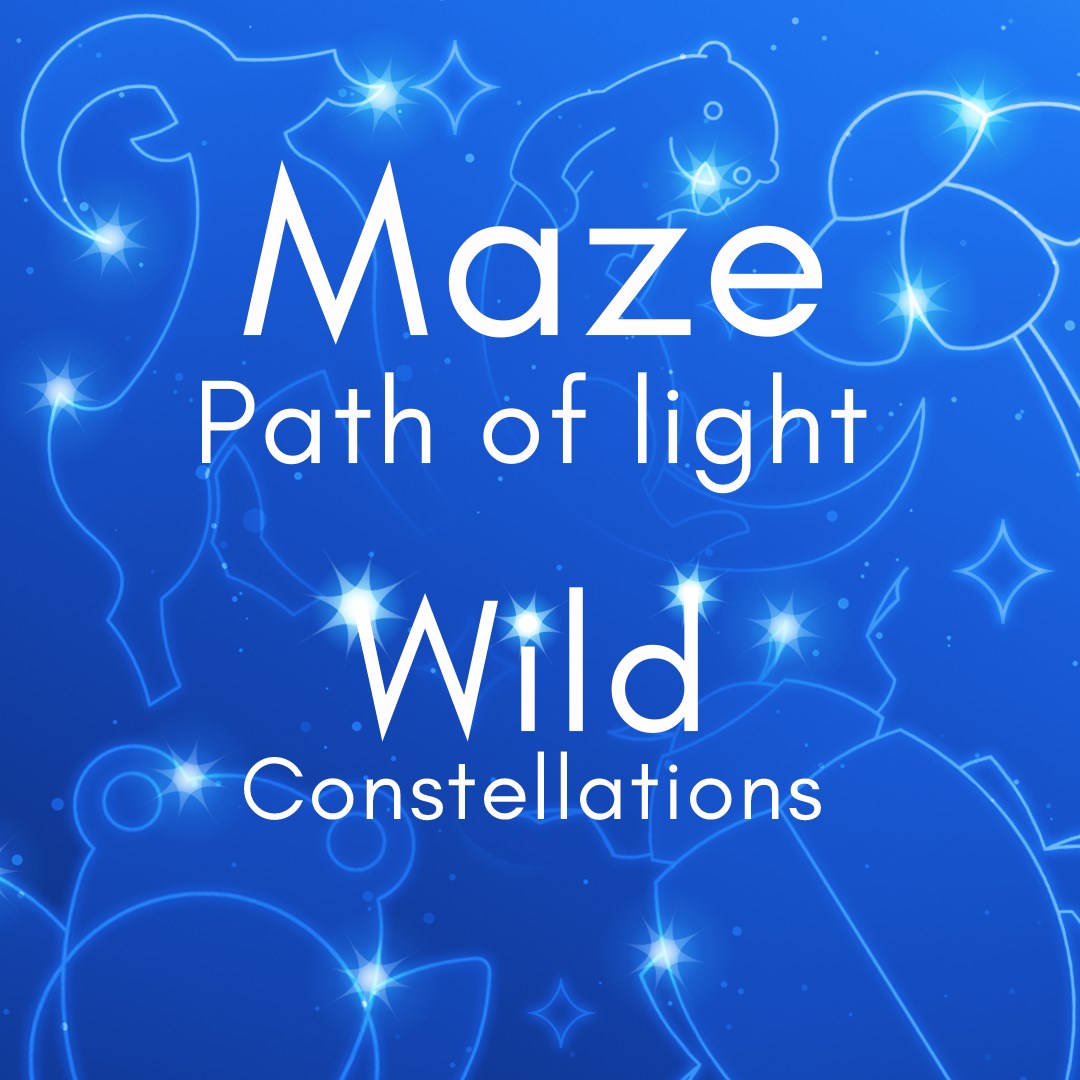 Maze: Path of Light - Wild Constellations