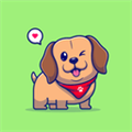 Cute Dogs HD Wallpaper