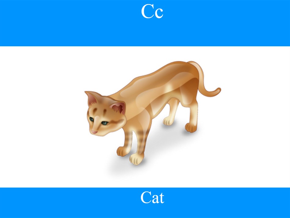 ABC Fun (Learn) (Windows) 由: Jimmy Dickinson