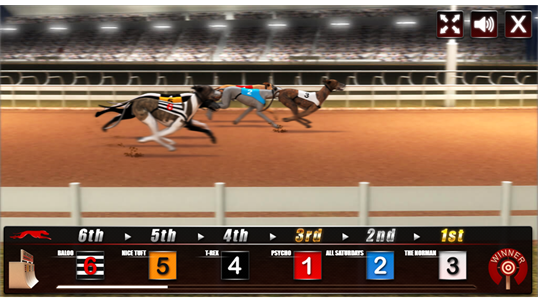 Greyhound Racing Dog Run screenshot 2