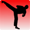 Learn Taekwondo