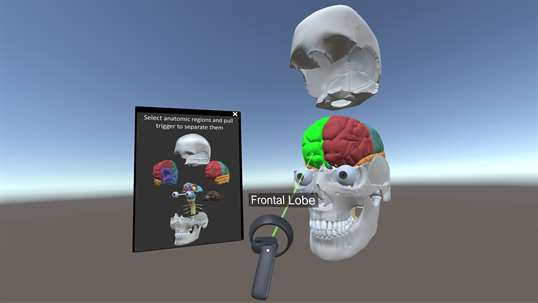 Brain Anatomy VR screenshot 2