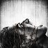 The Evil Within Digital Bundle