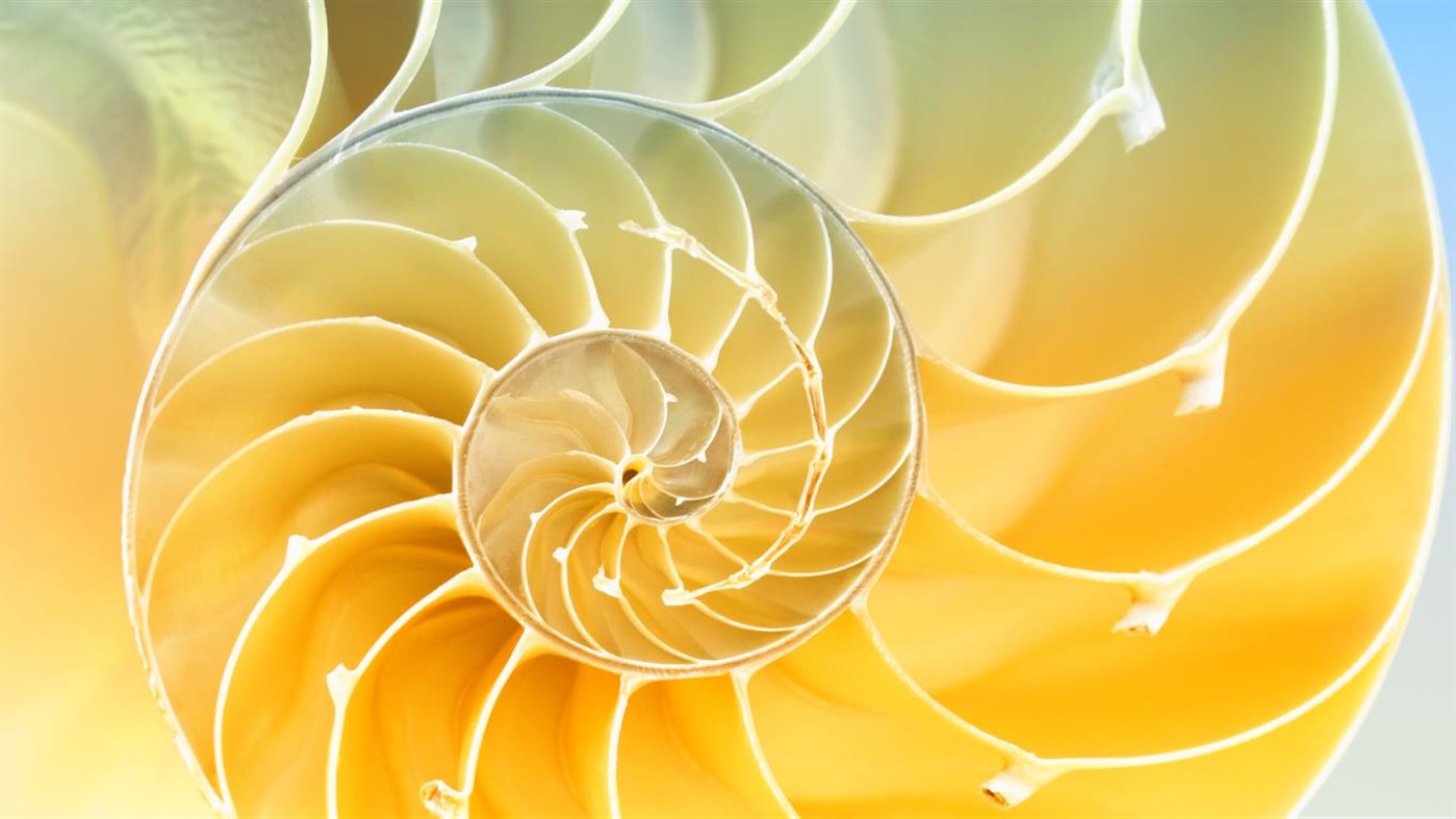 #4. Spiraling Fractals PREMIUM (Windows) 由: Microsoft Corporation