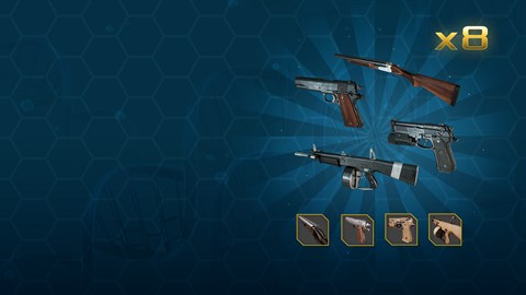 Klassisches Waffen-Skin-Paket