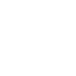 VoiceX App