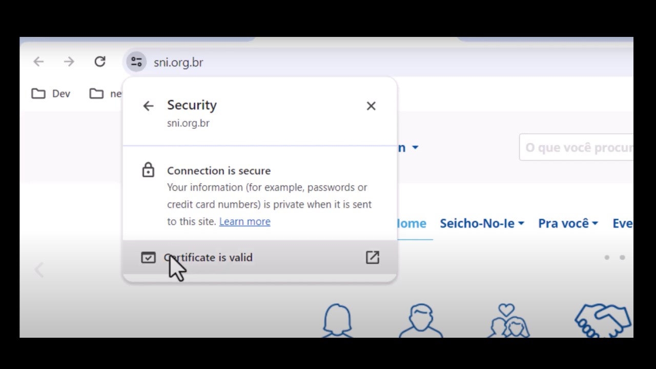Snapshot 1 of RCL SSL Client for Let's Encrypt - Free SSL/TLS