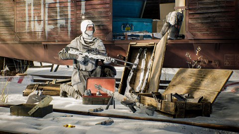 Vigor - Wraith of The North