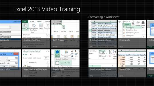 Video training Excel 2013 screenshot 2